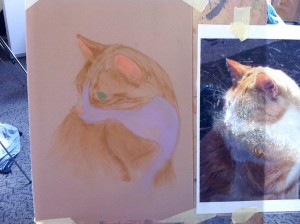 Pastel Ginger Cat (stage4) by Mandi Baykaa-Murray