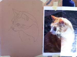 Pastel Ginger Cat (stage1) by Mandi Baykaa-Murray