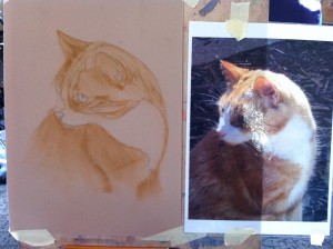 Pastel Ginger Cat (stage2) by Mandi Baykaa-Murray