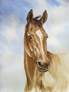 'Bay Beauty' Painting of a horse by Mandi Baykaa-Murray
