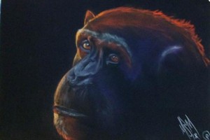 My version of Vic's Chimp in Pastel on Black Velour.